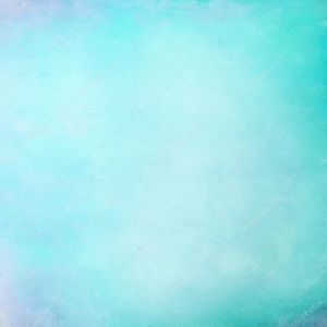 Meet your Posher, Eva